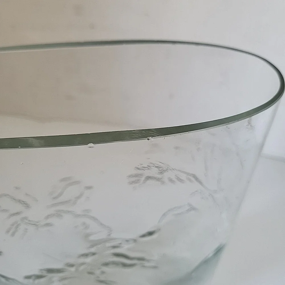 Pier 1‎ Floral Hand Blown Glass Embossed Vase 10